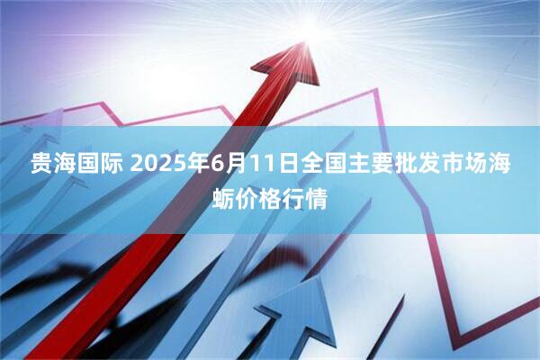 贵海国际 2025年6月11日全国主要批发市场海蛎价格行情