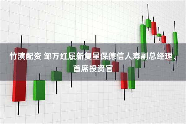 竹演配资 邹万红履新复星保德信人寿副总经理、首席投资官