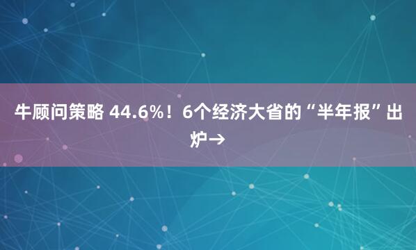 牛顾问策略 44.6%！6个经济大省的“半年报”出炉→