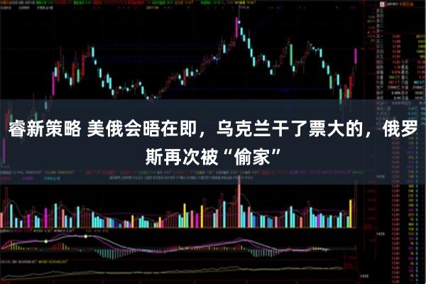 睿新策略 美俄会晤在即，乌克兰干了票大的，俄罗斯再次被“偷家”