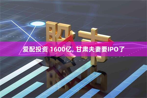 爱配投资 1600亿, 甘肃夫妻要IPO了