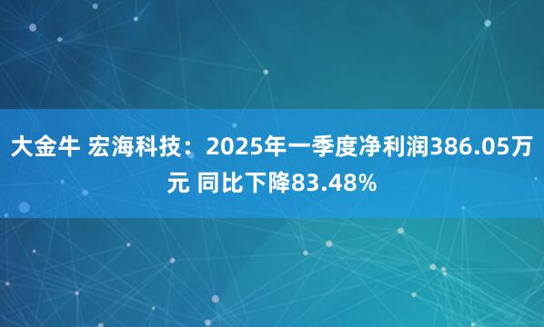 大金牛 宏海科技：2025年一季度净利润386.05万元 同比下降83.48%