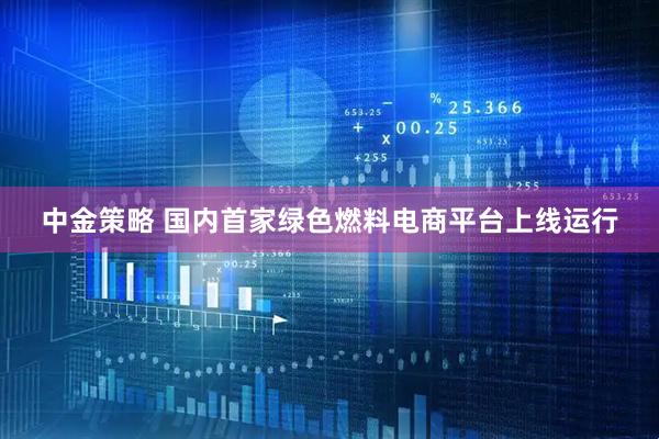 中金策略 国内首家绿色燃料电商平台上线运行