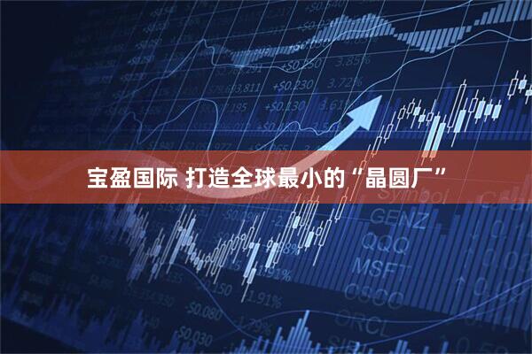 宝盈国际 打造全球最小的“晶圆厂”