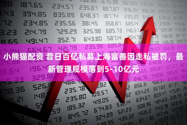 小熊猫配资 昔日百亿私募上海富善因走私被罚，最新管理规模落到5-10亿元